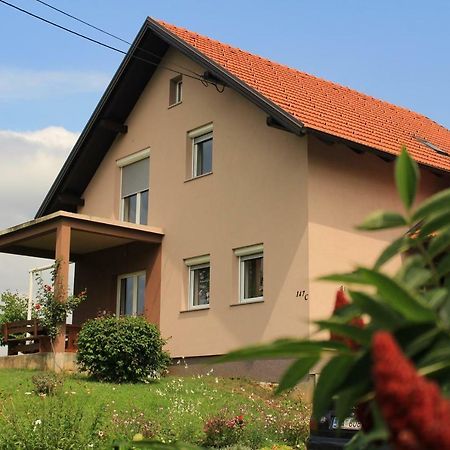Studio Apartman Lakasa ราโควิซา ภายนอก รูปภาพ